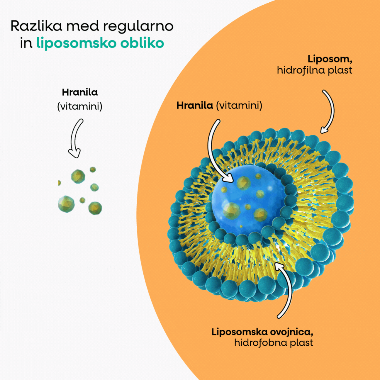 BrainMax IMMUNIZER DRINK, nápoj pro podporu imunity, 20 sáčků (1)